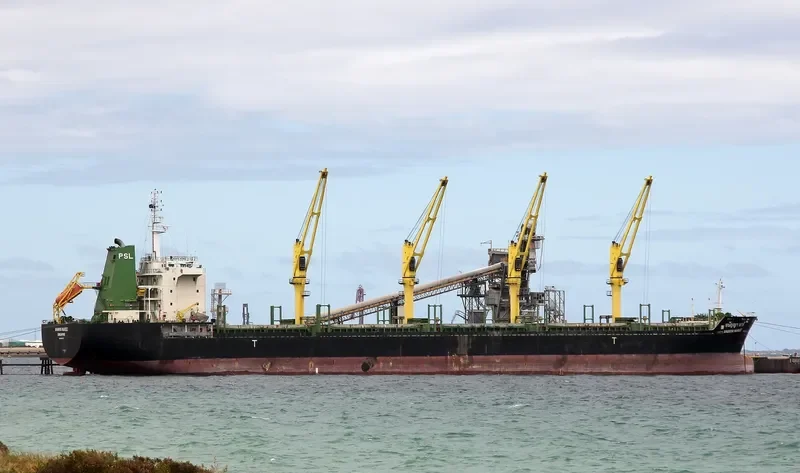 ANANYA NAREE Bulk Carrier IMO 9464003 photo 4
