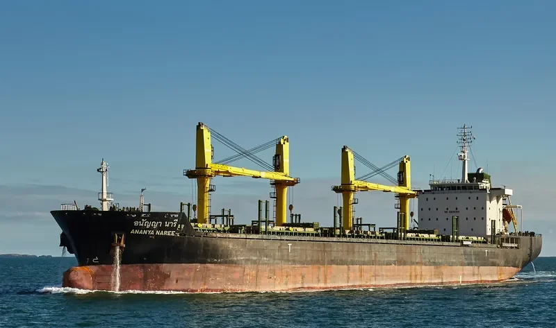 ANANYA NAREE Bulk Carrier IMO 9464003 photo 10
