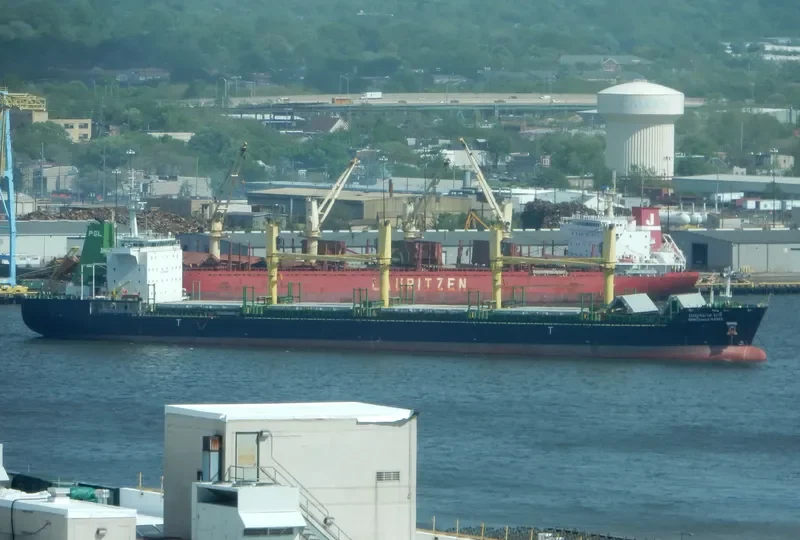 BENJAMAS NAREE Bulk Carrier IMO 9464027 photo 2