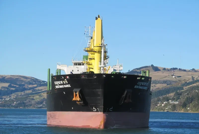 BENJAMAS NAREE Bulk Carrier IMO 9464027 photo 7