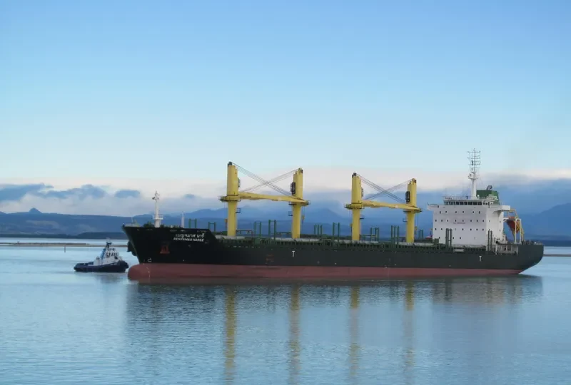 BENJAMAS NAREE Bulk Carrier IMO 9464027 photo 8