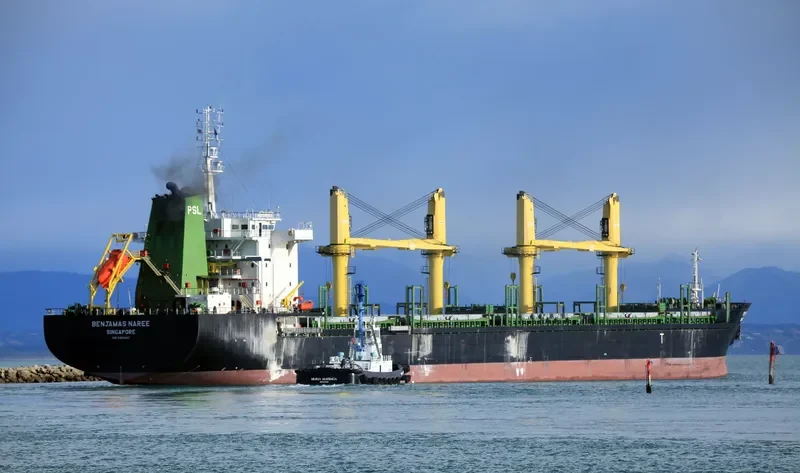 BENJAMAS NAREE Bulk Carrier IMO 9464027 photo 9