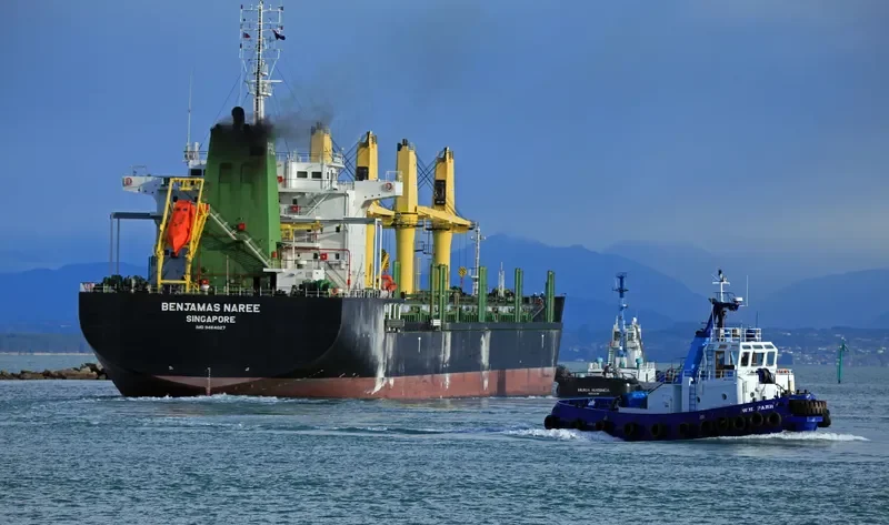 BENJAMAS NAREE Bulk Carrier IMO 9464027 photo 10