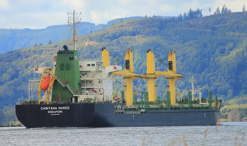 CHINTANA NAREE Bulk Carrier IMO 9464039
