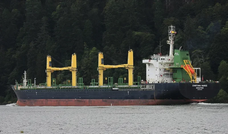 CHINTANA NAREE Bulk Carrier IMO 9464039 photo 3