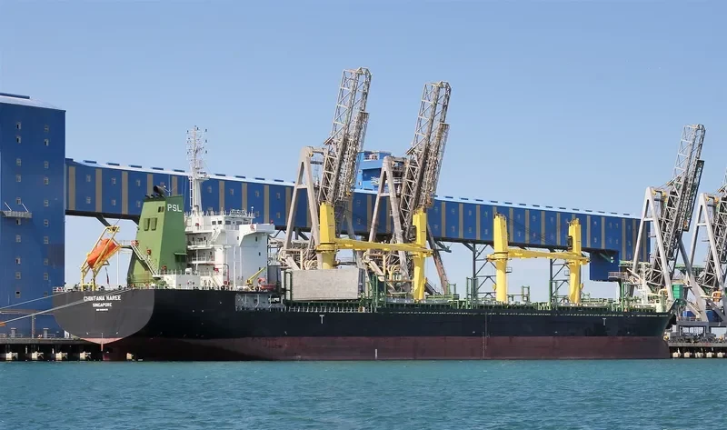 CHINTANA NAREE Bulk Carrier IMO 9464039 photo 8