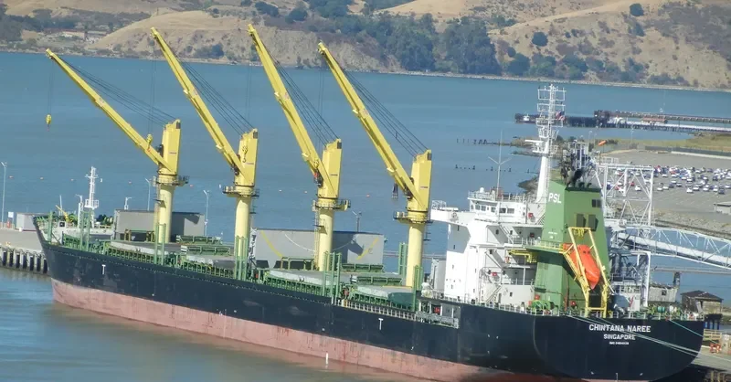 CHINTANA NAREE Bulk Carrier IMO 9464039 photo 9