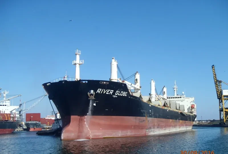 RIVER GLOBE Bulk Carrier IMO 9464168