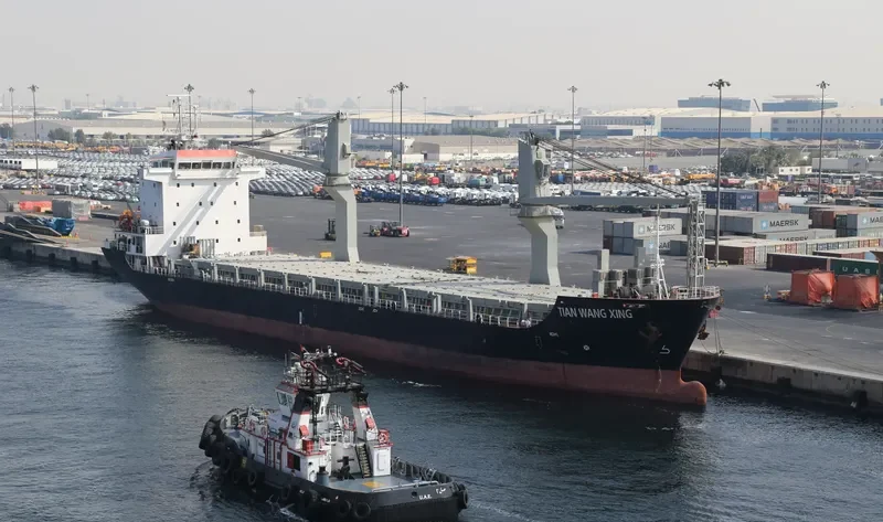 TIAN WANG ZHI XING General Cargo IMO 9464223