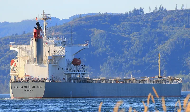 OKEANOS BLISS Bulk Carrier IMO 9464390