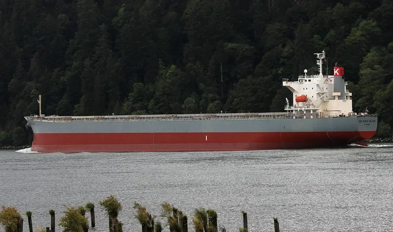 OKEANOS BLISS Bulk Carrier IMO 9464390 photo 3