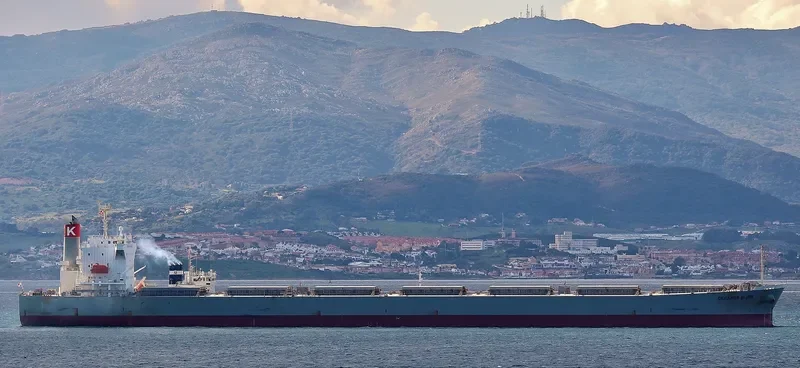OKEANOS BLISS Bulk Carrier IMO 9464390 photo 4
