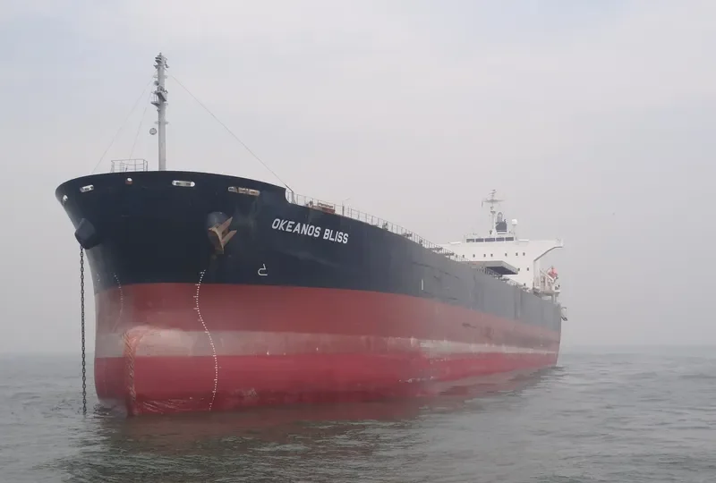 OKEANOS BLISS Bulk Carrier IMO 9464390 photo 5