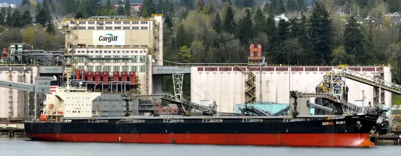 CORAL RUBY Bulk Carrier IMO 9464405 photo 3