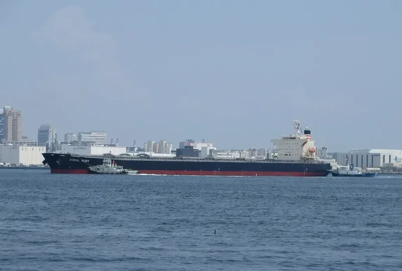 CORAL RUBY Bulk Carrier IMO 9464405 photo 10