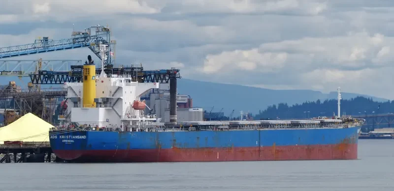 LEMESSOS QUEEN Bulk Carrier IMO 9464417 photo 3