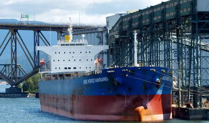 LEMESSOS QUEEN Bulk Carrier IMO 9464417 photo 7