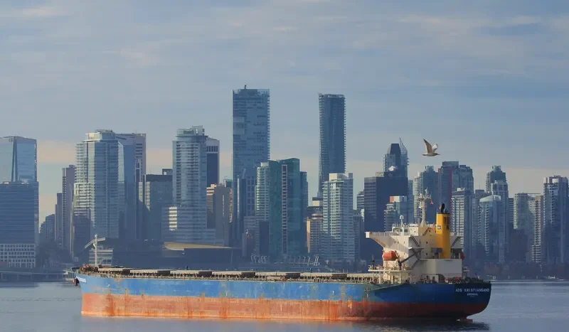 LEMESSOS QUEEN Bulk Carrier IMO 9464417 photo 10