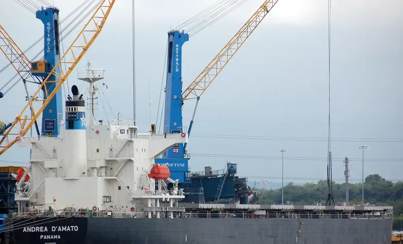IMPERIAL ROSE Bulk Carrier IMO 9464508 photo 2