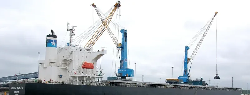 IMPERIAL ROSE Bulk Carrier IMO 9464508 photo 4
