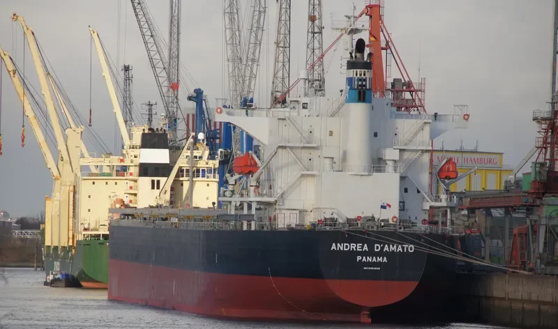 IMPERIAL ROSE Bulk Carrier IMO 9464508 photo 10