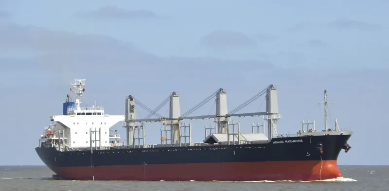 GLORY DINA Bulk Carrier IMO 9464522 photo 7