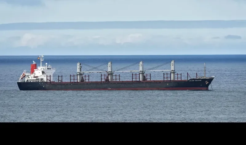 IDSHIP BULKER Bulk Carrier IMO 9464546 photo 4