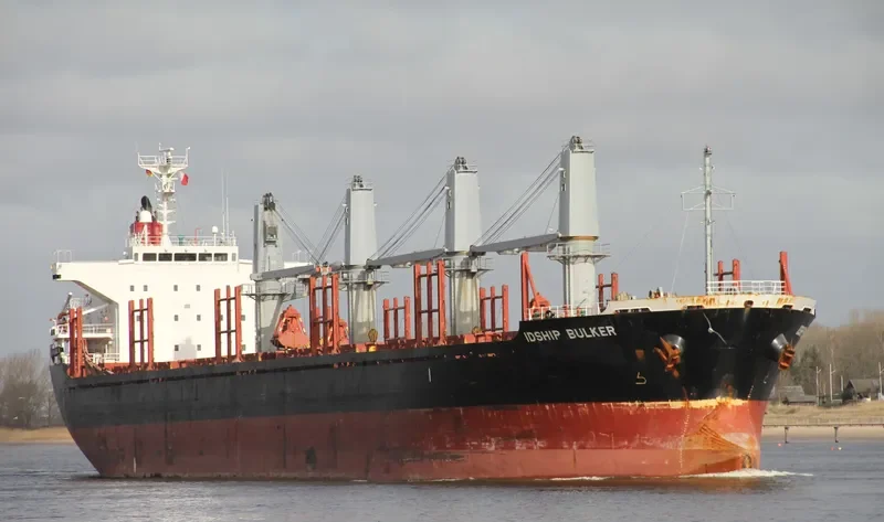 IDSHIP BULKER Bulk Carrier IMO 9464546 photo 9