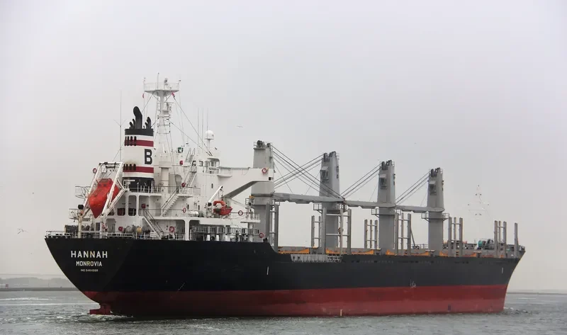 HANNAH Bulk Carrier IMO 9464558