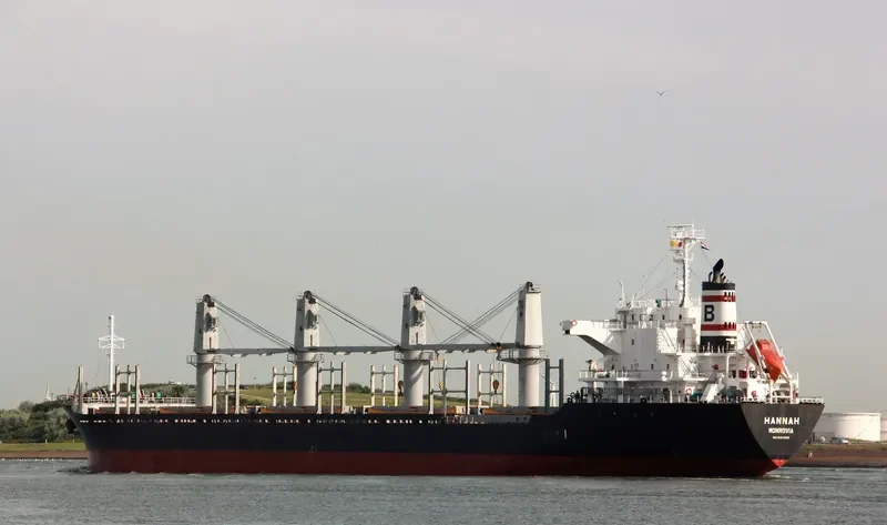 HANNAH Bulk Carrier IMO 9464558 photo 3