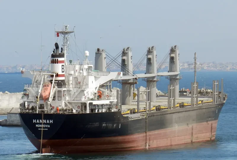 HANNAH Bulk Carrier IMO 9464558 photo 8
