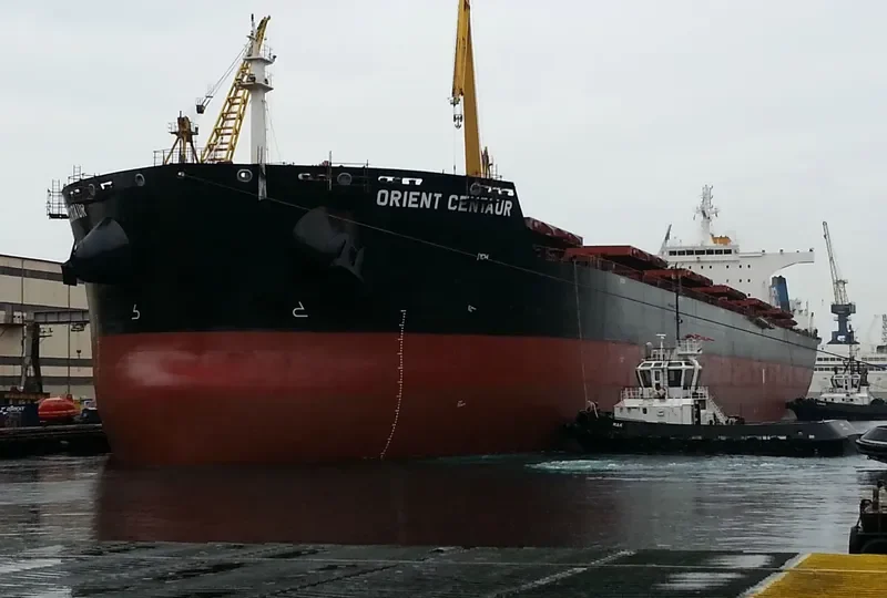 ORIENT CENTAUR Bulk Carrier IMO 9464572