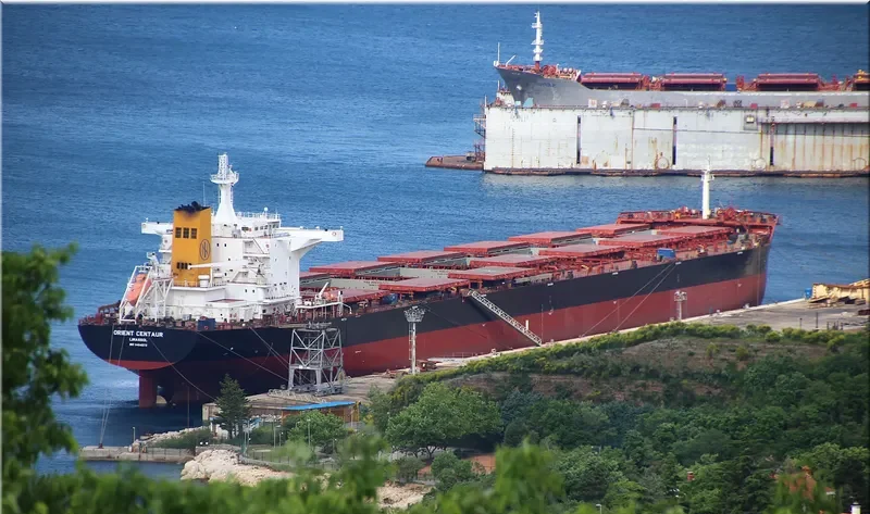 ORIENT CENTAUR Bulk Carrier IMO 9464572 photo 5