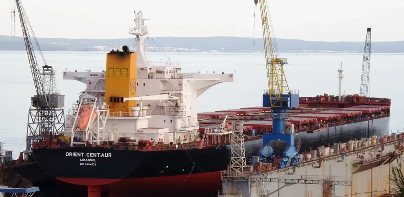 ORIENT CENTAUR Bulk Carrier IMO 9464572 photo 6