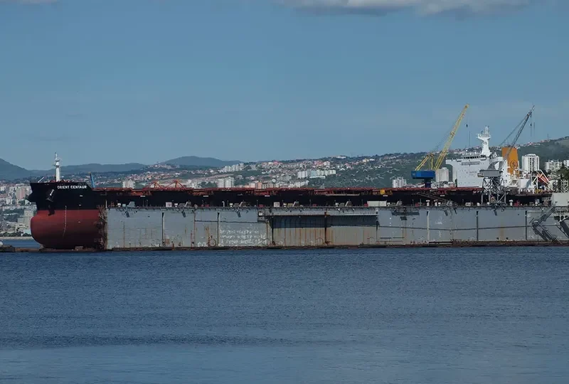 ORIENT CENTAUR Bulk Carrier IMO 9464572 photo 7