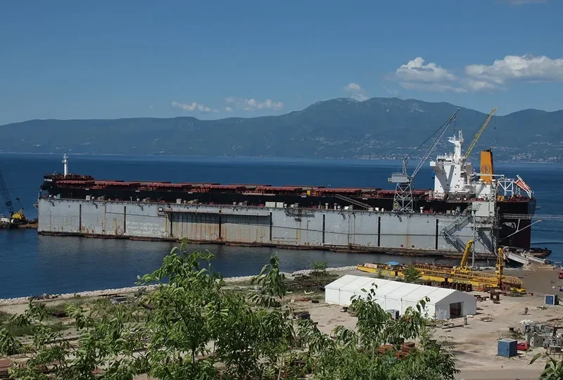ORIENT CENTAUR Bulk Carrier IMO 9464572 photo 8