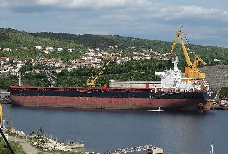 ORIENT CENTAUR Bulk Carrier IMO 9464572 photo 10