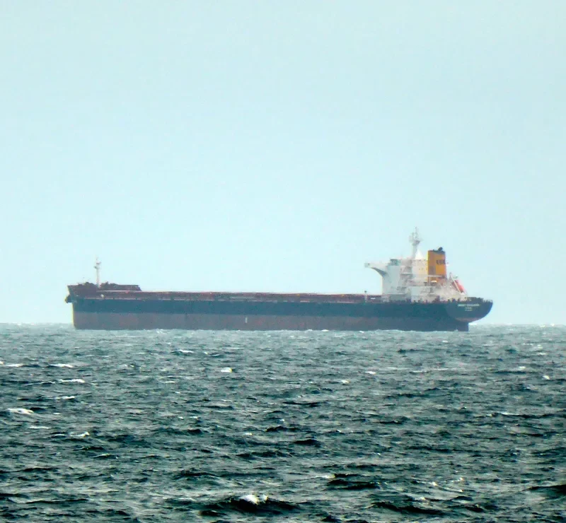 PENELOPE OLDENDORFF Bulk Carrier IMO 9464596 photo 9