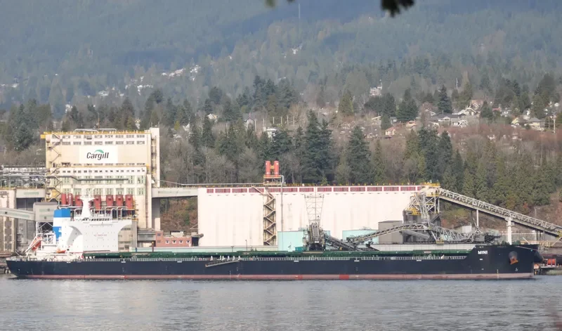 MINI Bulk Carrier IMO 9464651 photo 2