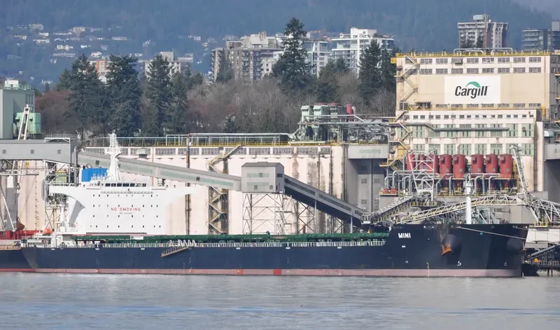 MINI Bulk Carrier IMO 9464651 photo 3