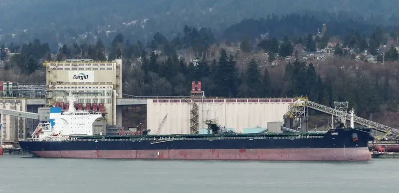 MINI Bulk Carrier IMO 9464651 photo 4