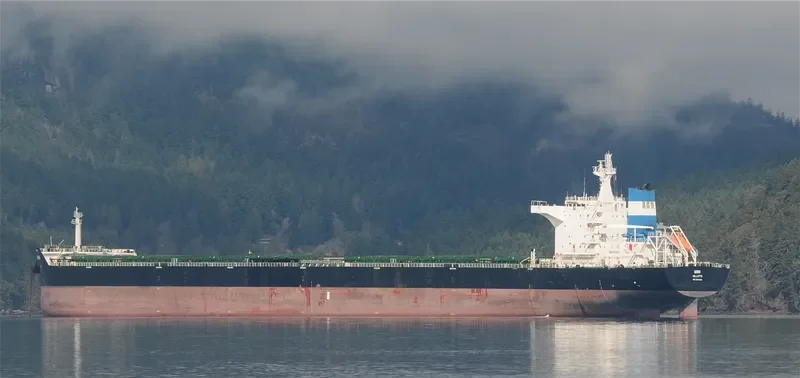 MINI Bulk Carrier IMO 9464651 photo 5