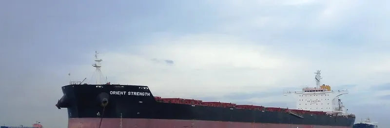 PETER OLDENDORFF Bulk Carrier IMO 9464663