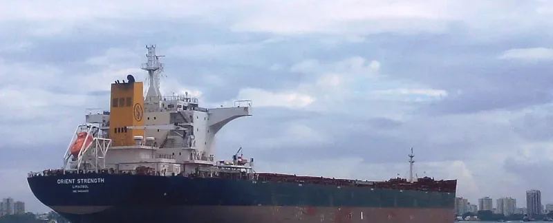 PETER OLDENDORFF Bulk Carrier IMO 9464663 photo 2