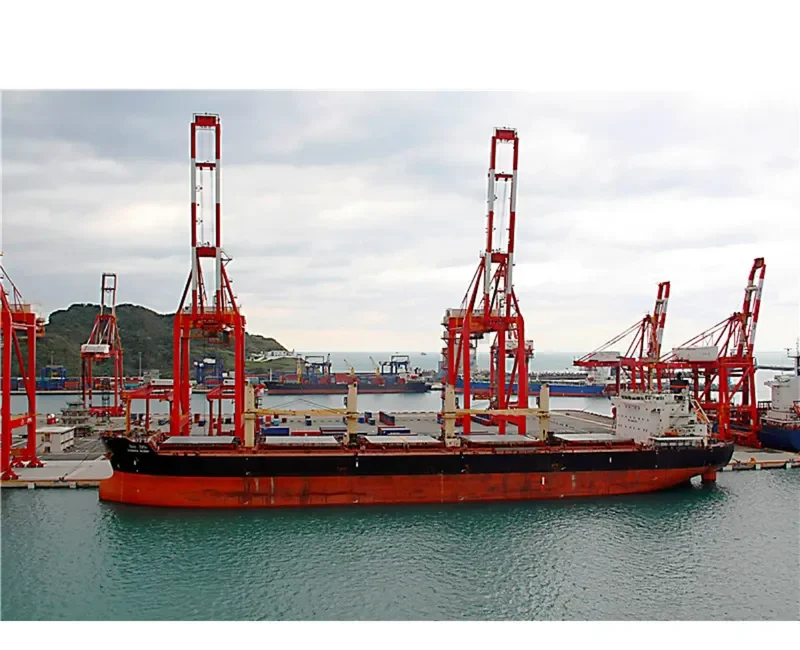 VISHVA NIDHI Bulk Carrier IMO 9464742