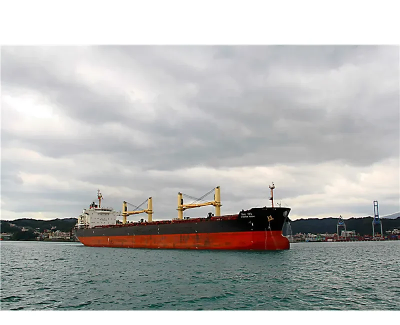 VISHVA NIDHI Bulk Carrier IMO 9464742 photo 2