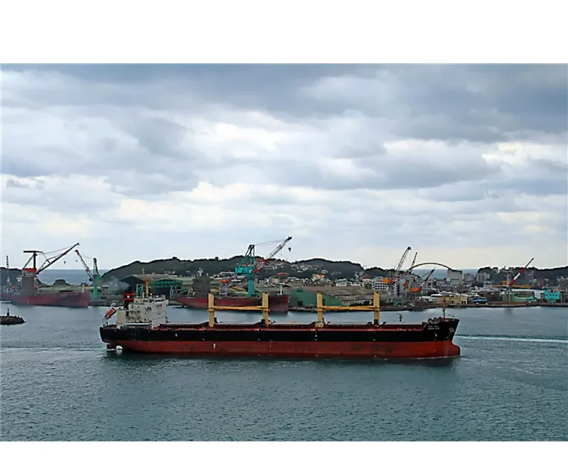 VISHVA NIDHI Bulk Carrier IMO 9464742 photo 3