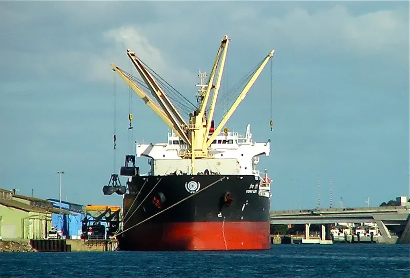 VISHVA NIDHI Bulk Carrier IMO 9464742 photo 6