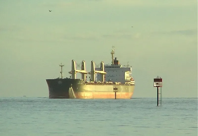 VISHVA NIDHI Bulk Carrier IMO 9464742 photo 9
