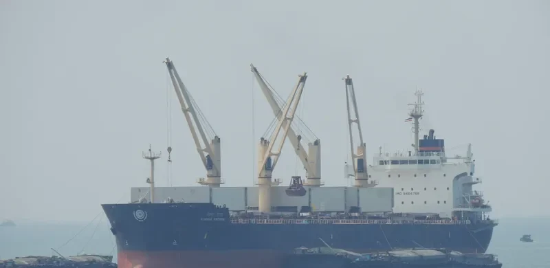 VISHVA PRERNA Bulk Carrier IMO 9464766